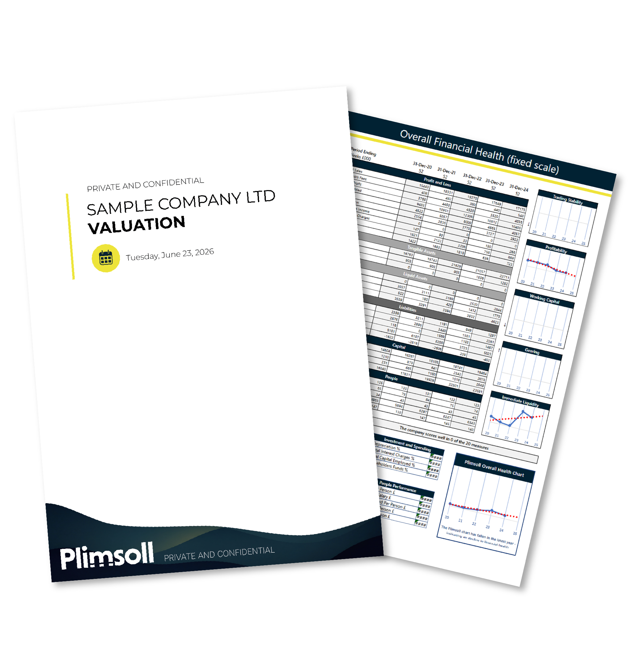Sample Plimsoll valuation report