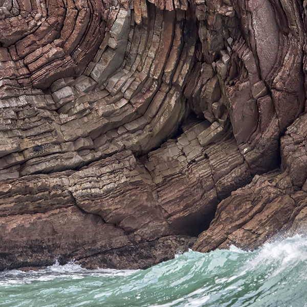 (PDF) FOMO and Its Effect on Gen Z Performance - ResearchGate