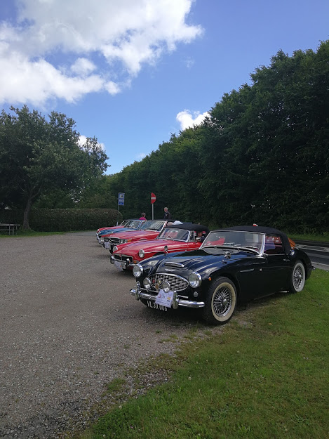 En række klassiske biler parkeret side om side på en grusplads med en grøn hæk og træer i baggrunden. Forrest ses en sort bil med hvide hjul og kromdetaljer, efterfulgt af flere biler i røde og blå nuancer. Himlen er delvist dækket af hvide skyer, og omgivelserne fremstår rolige og idylliske.