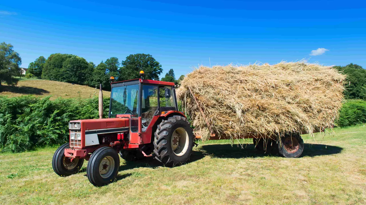 En rød traktor på en solrig dag står på en mark og trækker en stor, fyldt anhænger med høballer. Baggrunden består af grønne marker, buske og træer under en klar, blå himmel.