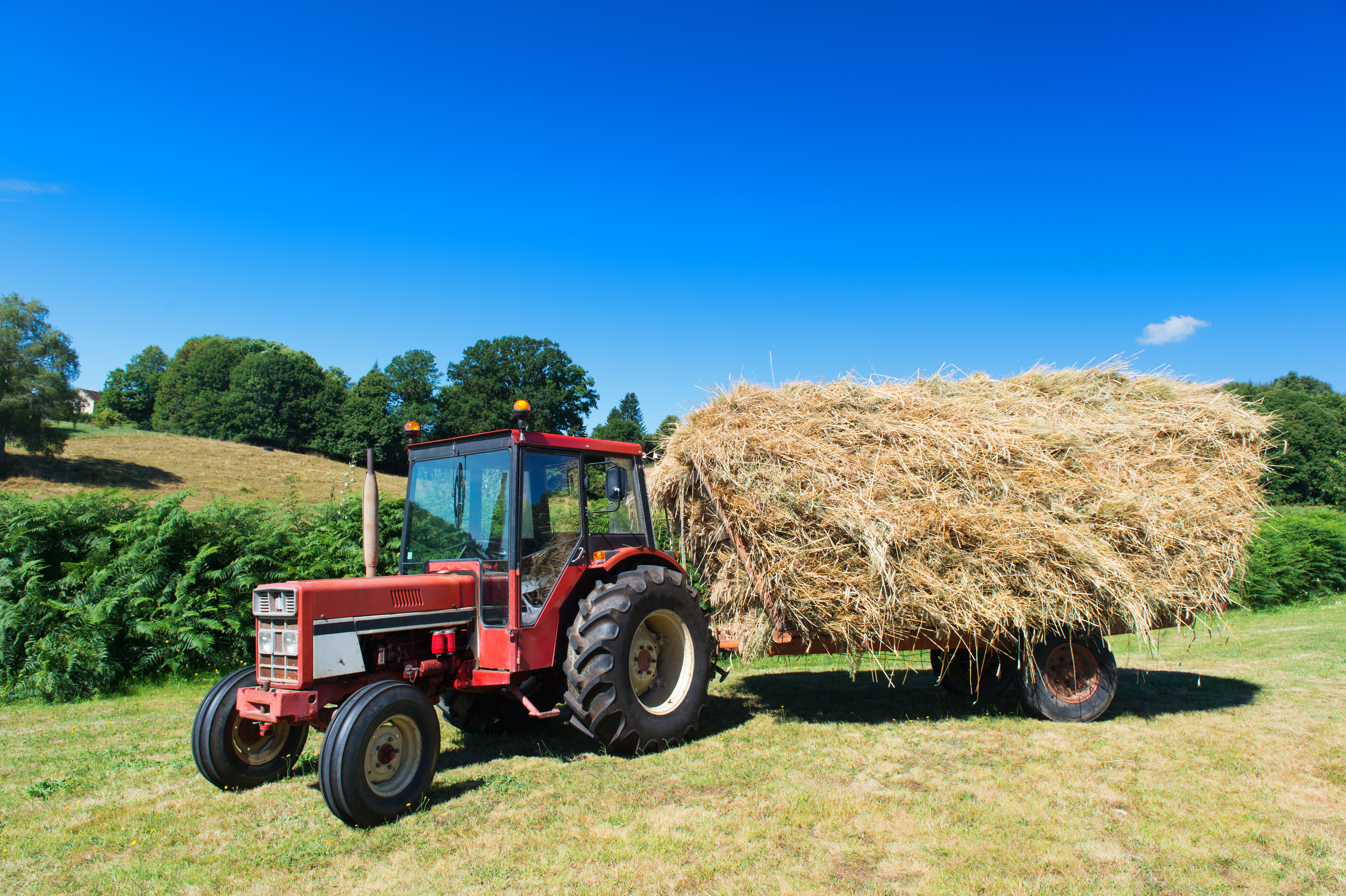 En rød traktor på en solrig dag står på en mark og trækker en stor, fyldt anhænger med høballer. Baggrunden består af grønne marker, buske og træer under en klar, blå himmel.