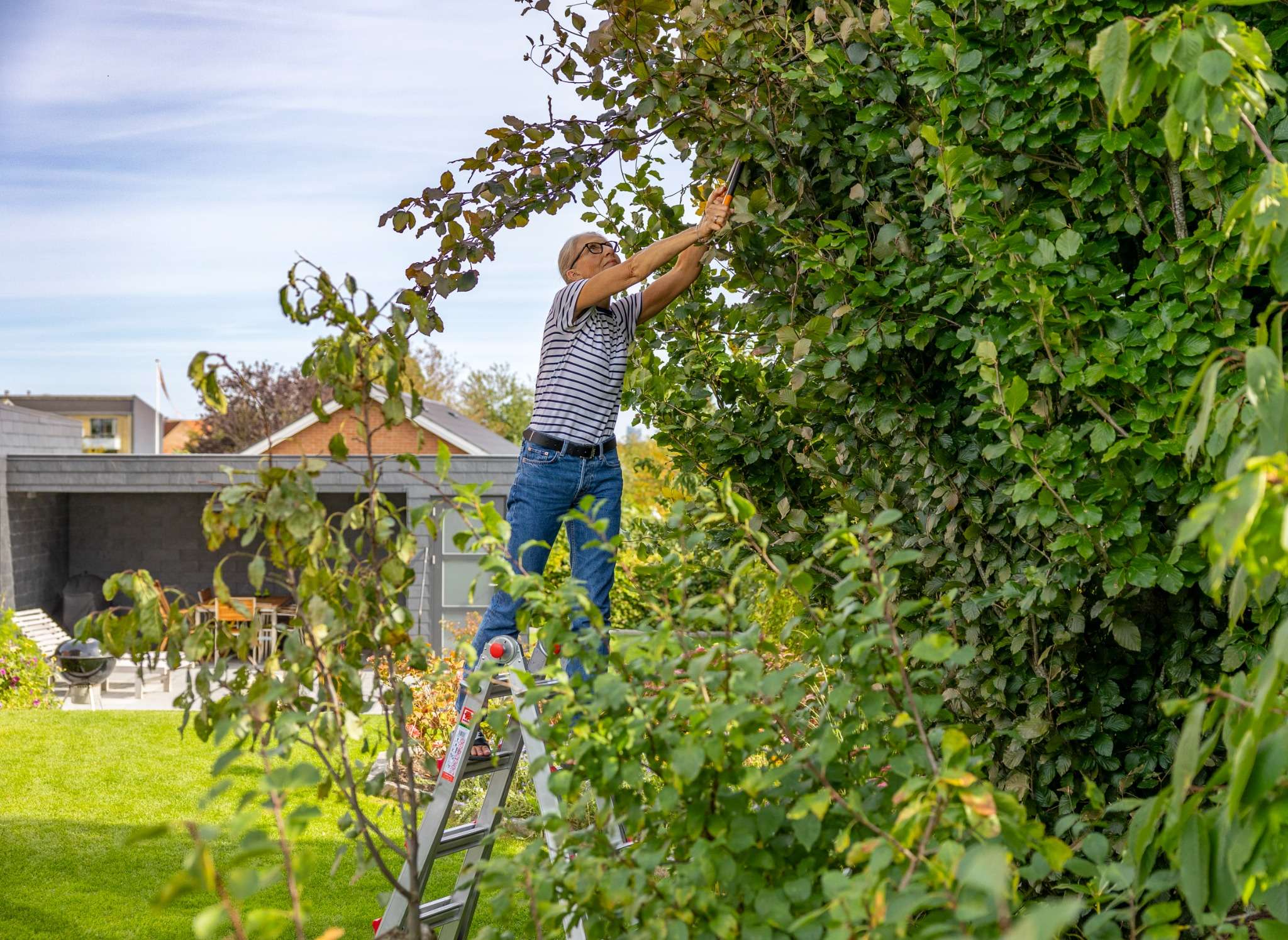 En kvinde står på en stige og klipper grene af et træ i en have. Hun er iført en stribet t-shirt og jeans, og der er en tæt, grøn hæk i baggrunden.