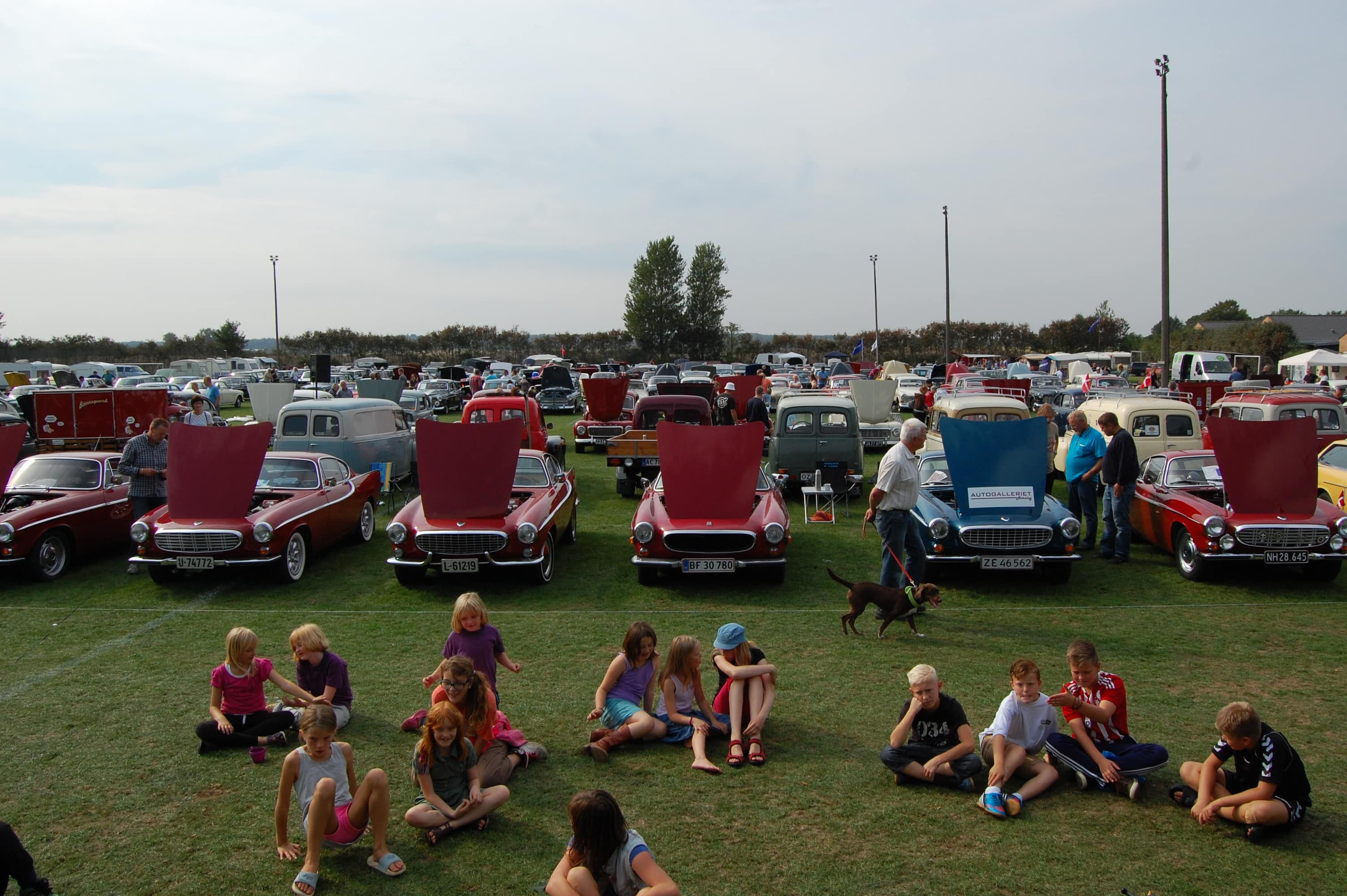 Billedet viser et biltræf, hvor der er samlet en gruppe børn i forgrunden der sidder på græs og taler og hygger sig.