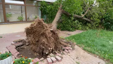 Hvornår er der tale om en storm, hvordan kan du forebygge skader i forbindelse med storm, og hvad gør du, hvis uheldet alligevel er ude? I denne artikel kan du blive klogere på, hvordan du skal forholde dig, hvis dit hus tager skade i forbindelse med en storm.