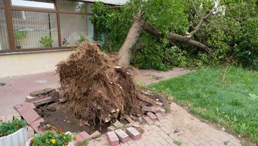 Hvornår er der tale om en storm, hvordan kan du forebygge skader i forbindelse med storm, og hvad gør du, hvis uheldet alligevel er ude? I denne artikel kan du blive klogere på, hvordan du skal forholde dig, hvis dit hus tager skade i forbindelse med en storm.