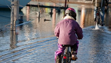 Skader forårsaget ved stormflod er ikke dækket af dine forsikringer hos Aros Forsikring, men af Naturskaderådet. Får du en stormflodsskade, hjælper Aros Forsikring dog med at opgøre dine skader på vegne af Naturskaderådet. Det er Naturskaderådet, der godkender opgørelsen.