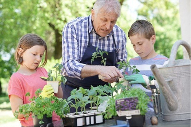 Senior med børnebørn planter i haven. Sommerhusforsikring til seniorer.