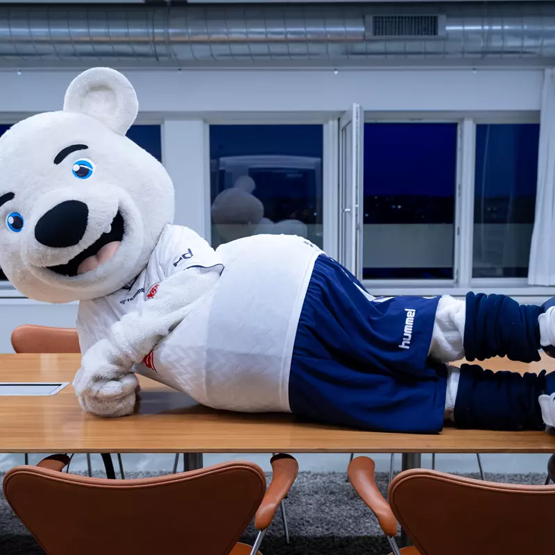 En stor, hvid bjørnemaskot iført en hvid trøje og blå shorts ligger afslappet på et mødebord i et moderne konferencelokale. Maskotten smiler bredt og hviler på den ene albue, mens benene er strakt ud. Rundt om bordet står flere orange stole, og i baggrunden ses store vinduer med åbne gardiner, der afslører en mørk nattehimmel.