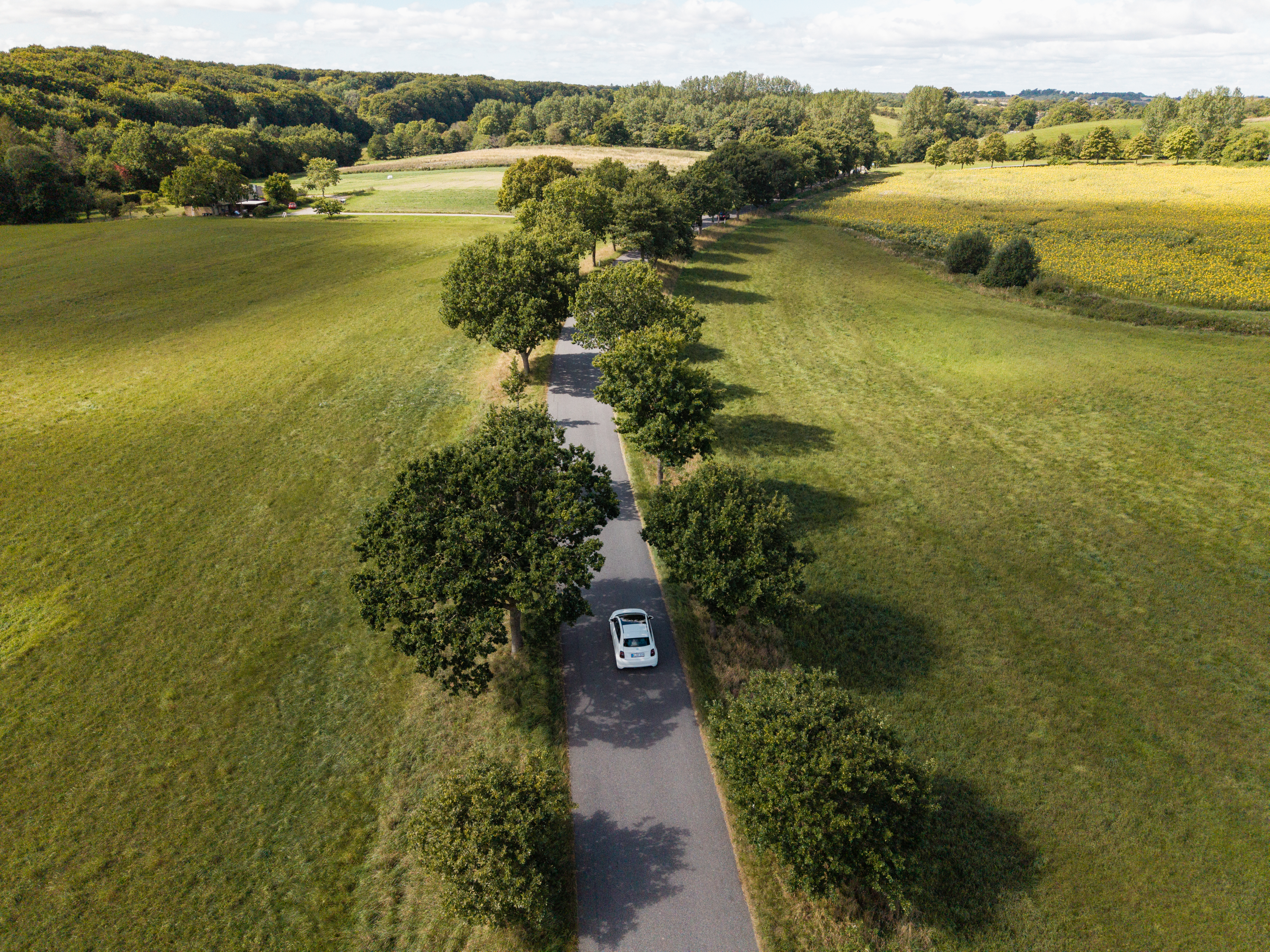 Elbil kører på en allé med grønne træer og græsmarker