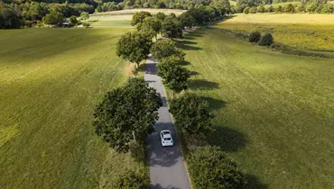 Elbil kører på en allé med grønne træer og græsmarker