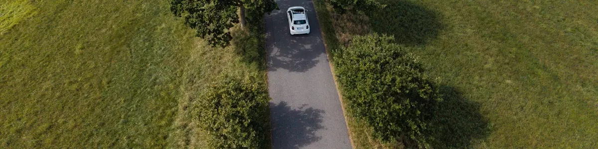 Elbil kører på en allé med grønne træer og græsmarker