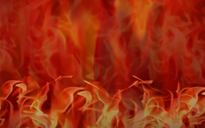 7`s Deluxe Wild Fortune Play