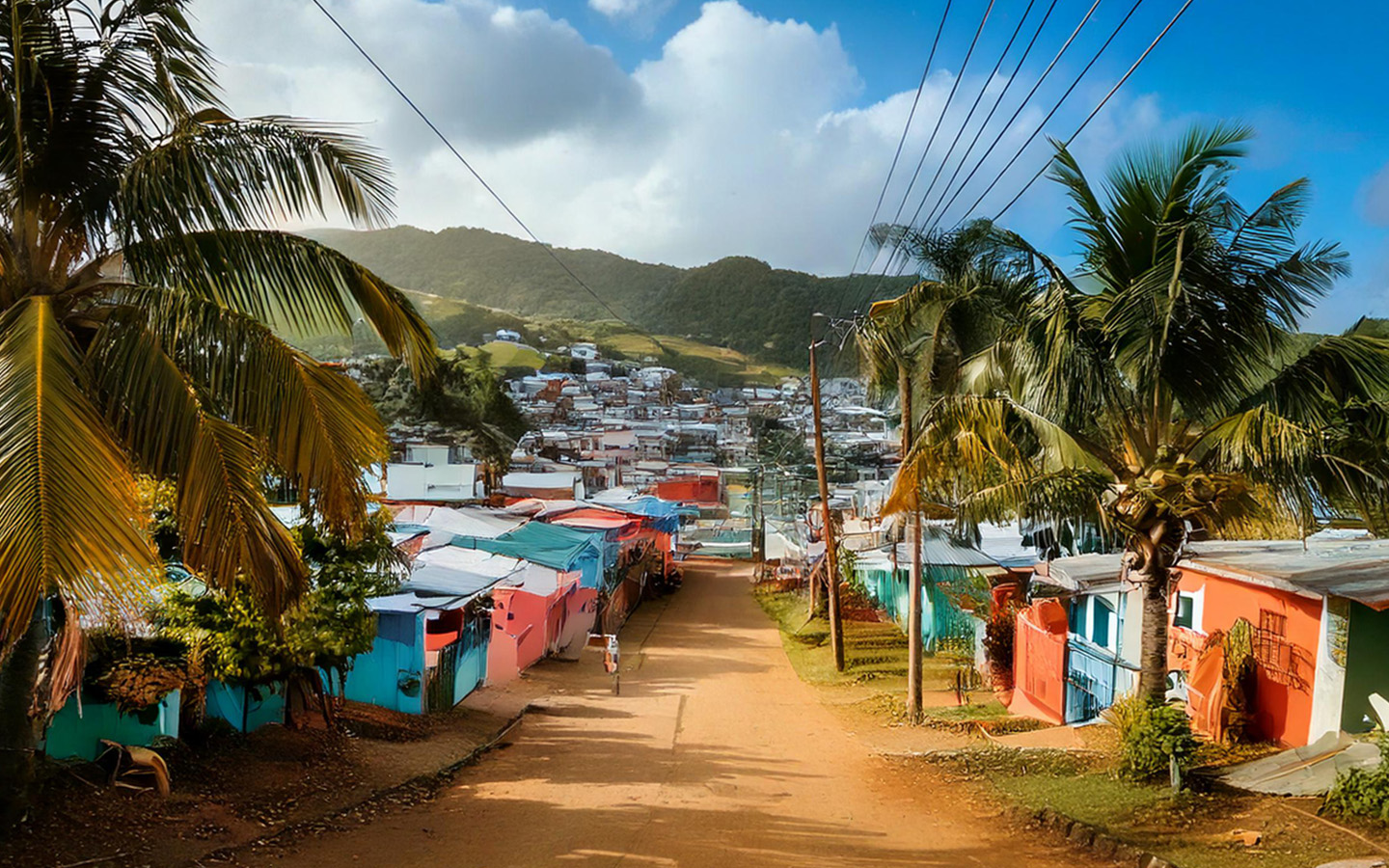 Unusual Suspects Cartel Cash