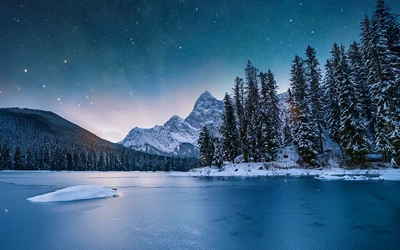 333 Jolly Fat Frogs Power Combo