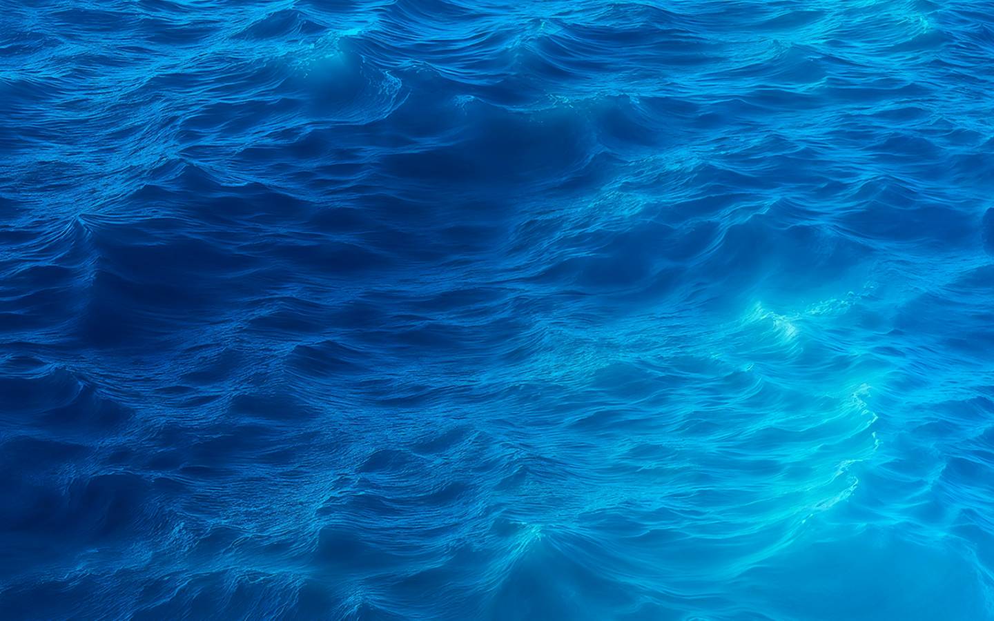 The Fin Finder