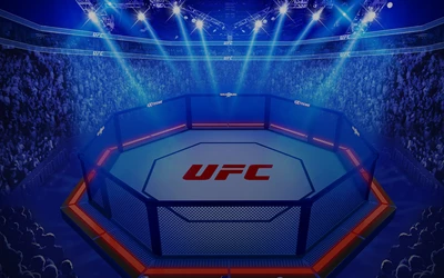 UFC Gold Blitz Extreme