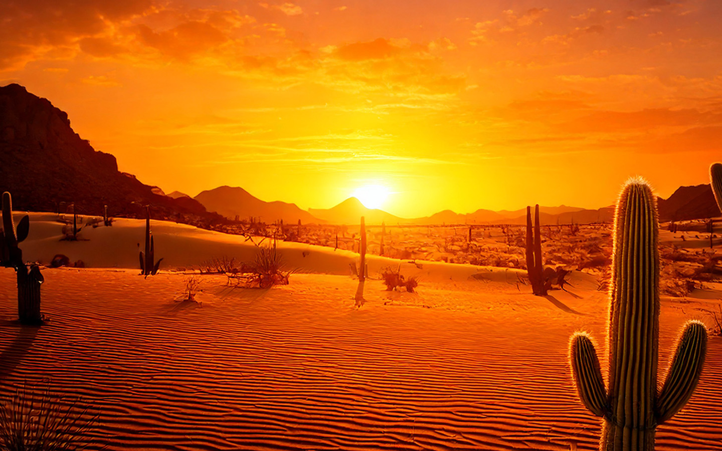 Roaming Wild Buffalo