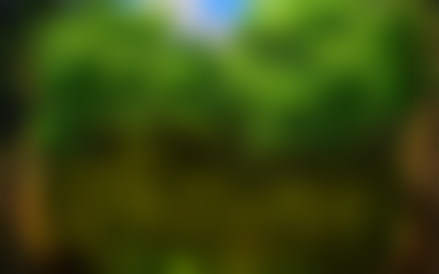 Pixies of the Forest