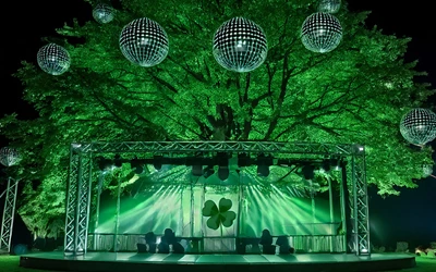 24k Gold Shamrock On