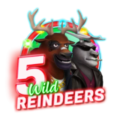 5 Wild Reindeers