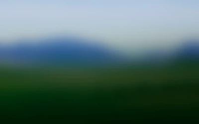 Rainbow Riches Power Pitch