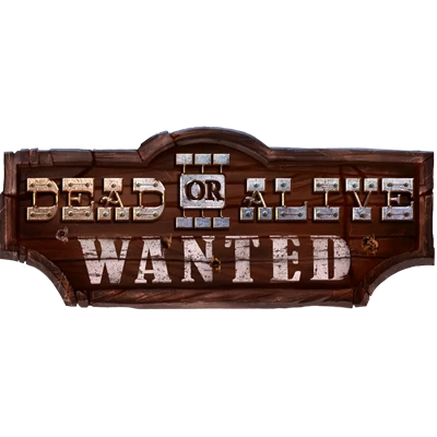 Dead or Alive 3 : Wanted