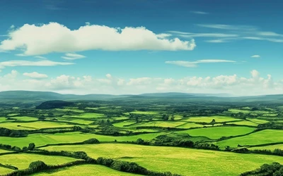 Rainbow Riches Leprechauns Gold