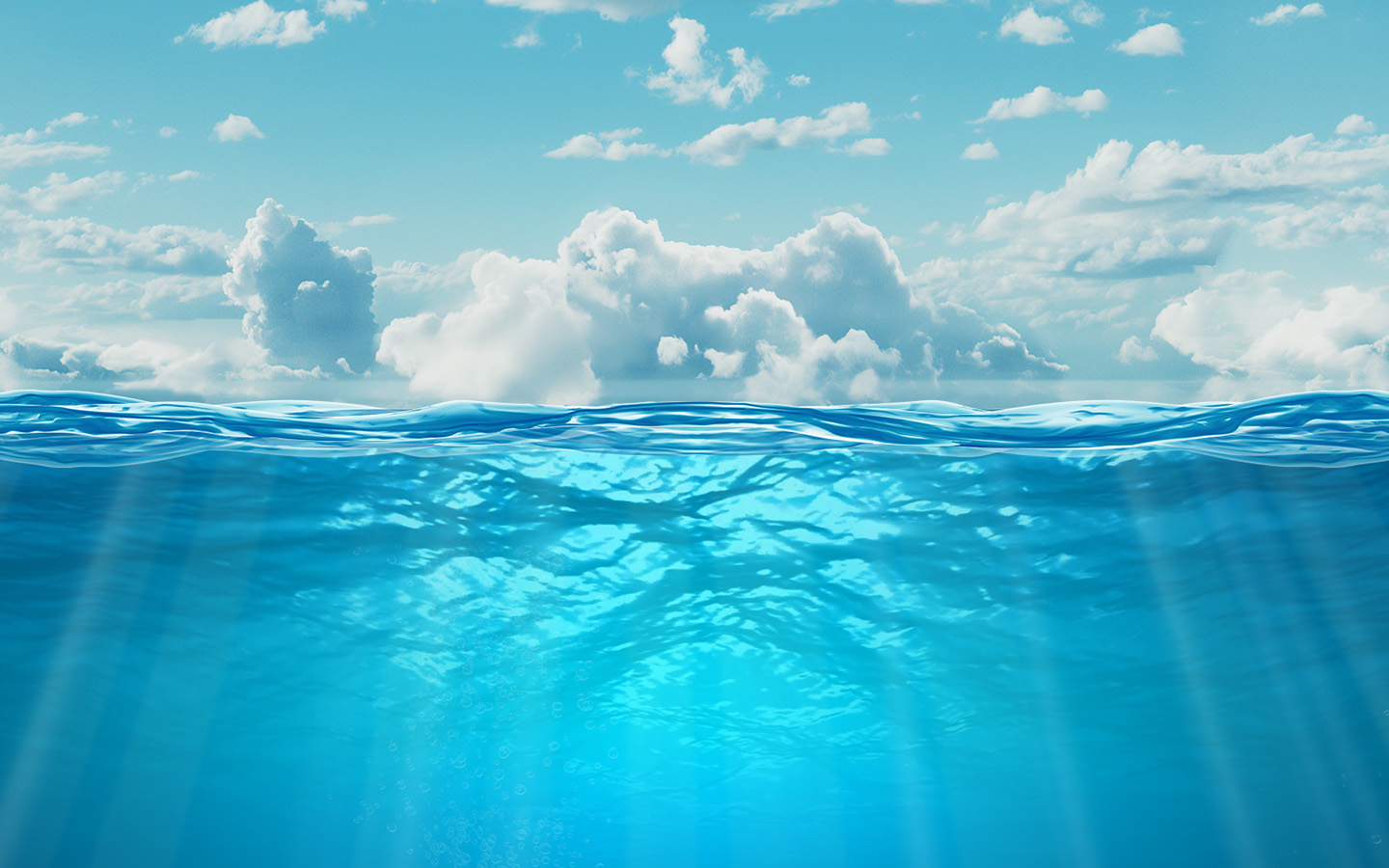 Extreme Tuna Overload