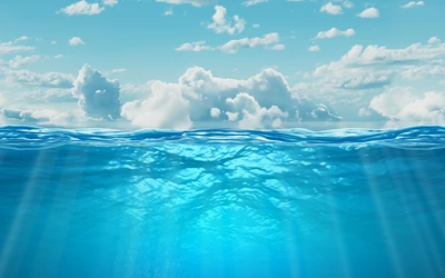 Extreme Tuna Overload