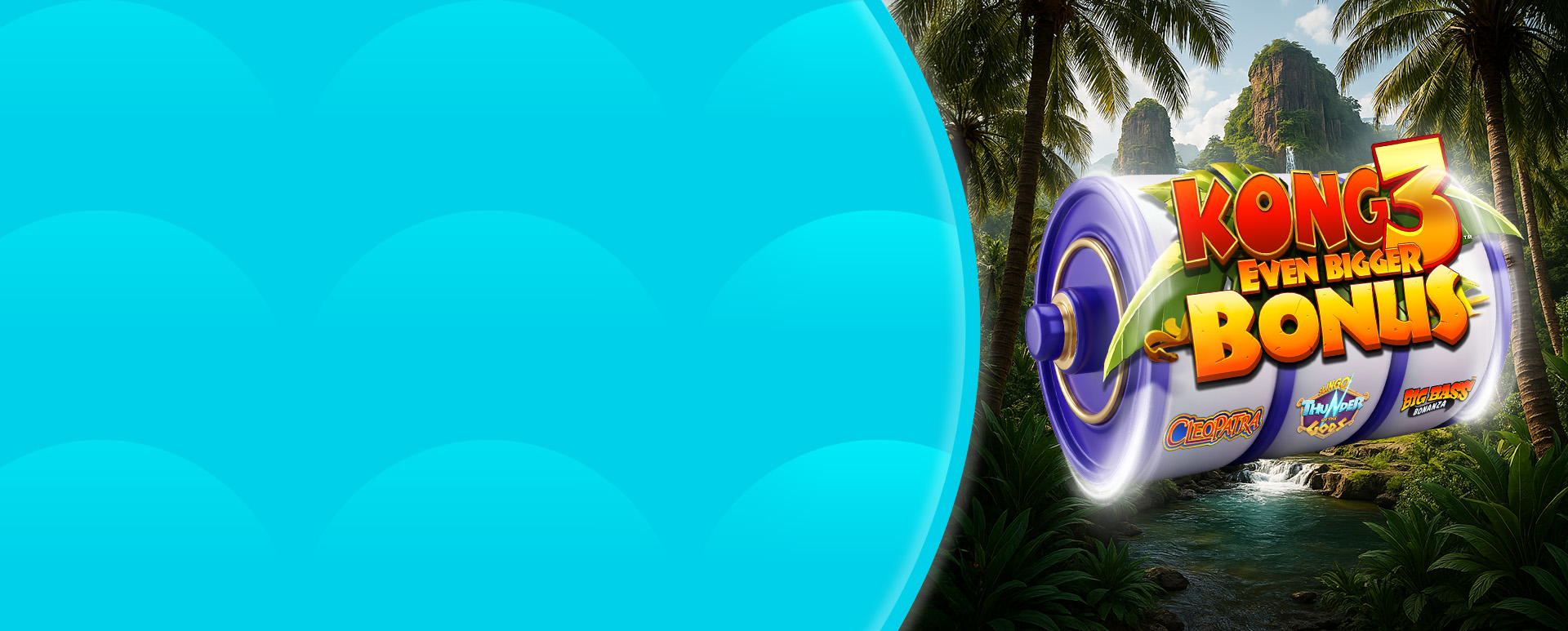 Promotional Banner