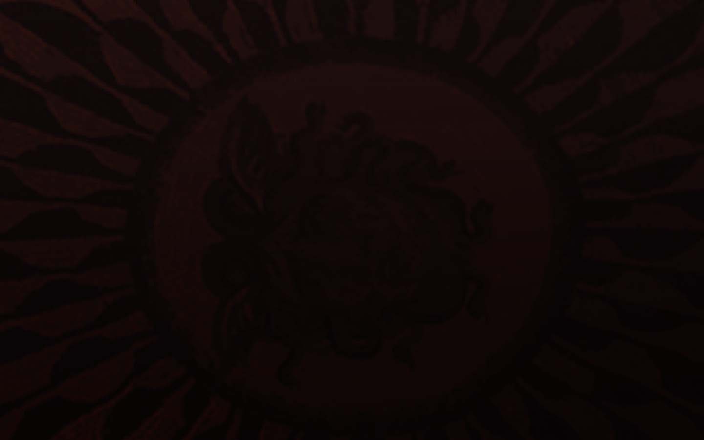 Spartacus Wonder 500