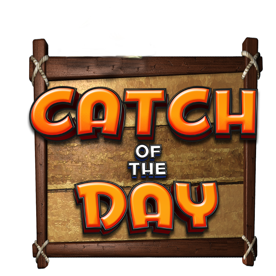 Catch of the Day