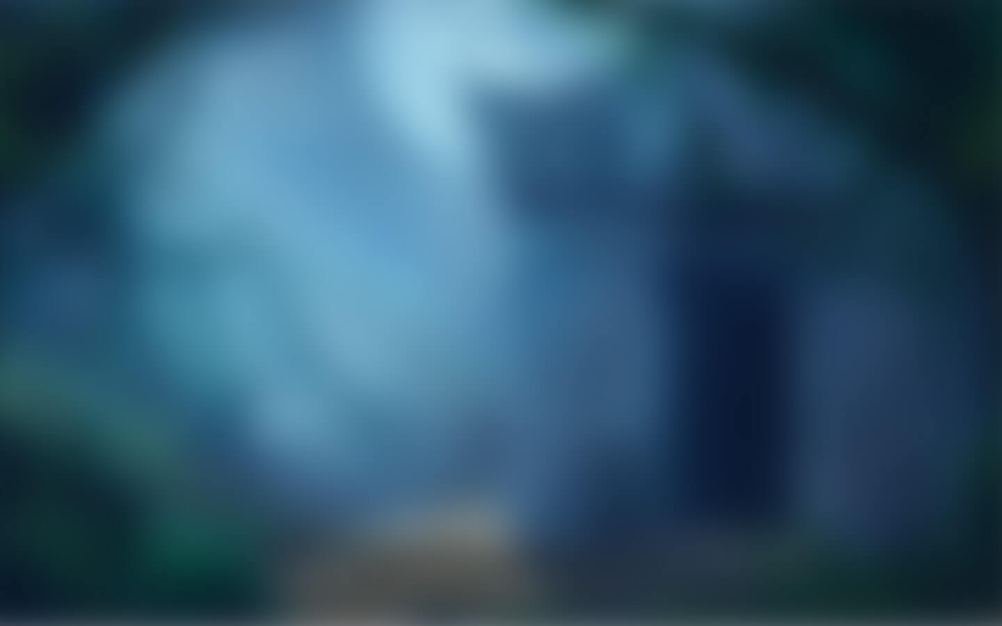 The Wild Wings of Phoenix