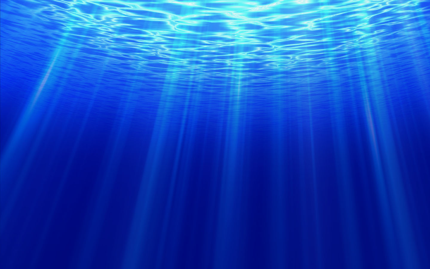 Cash Connection - Dolphin's Pearl