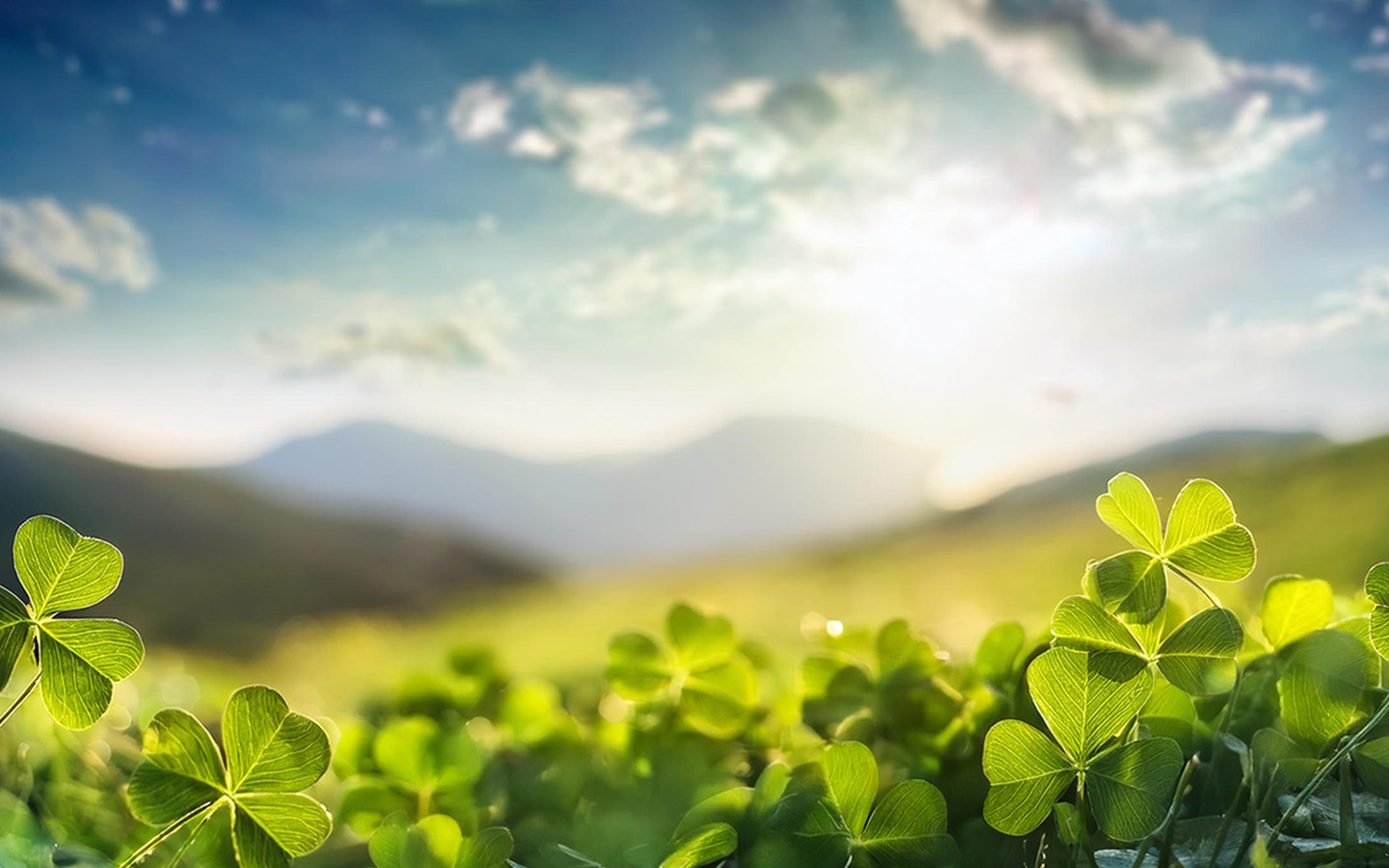 Eagle Strike Lucky Cache