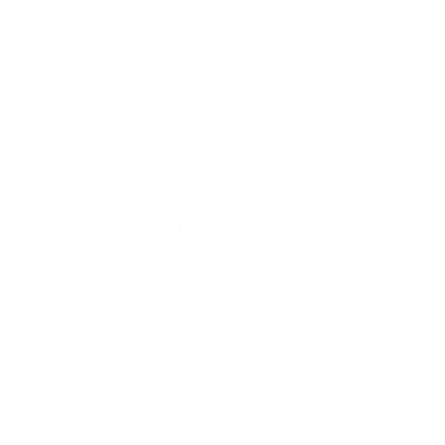 Blackjack 5 Hand Low Stakes