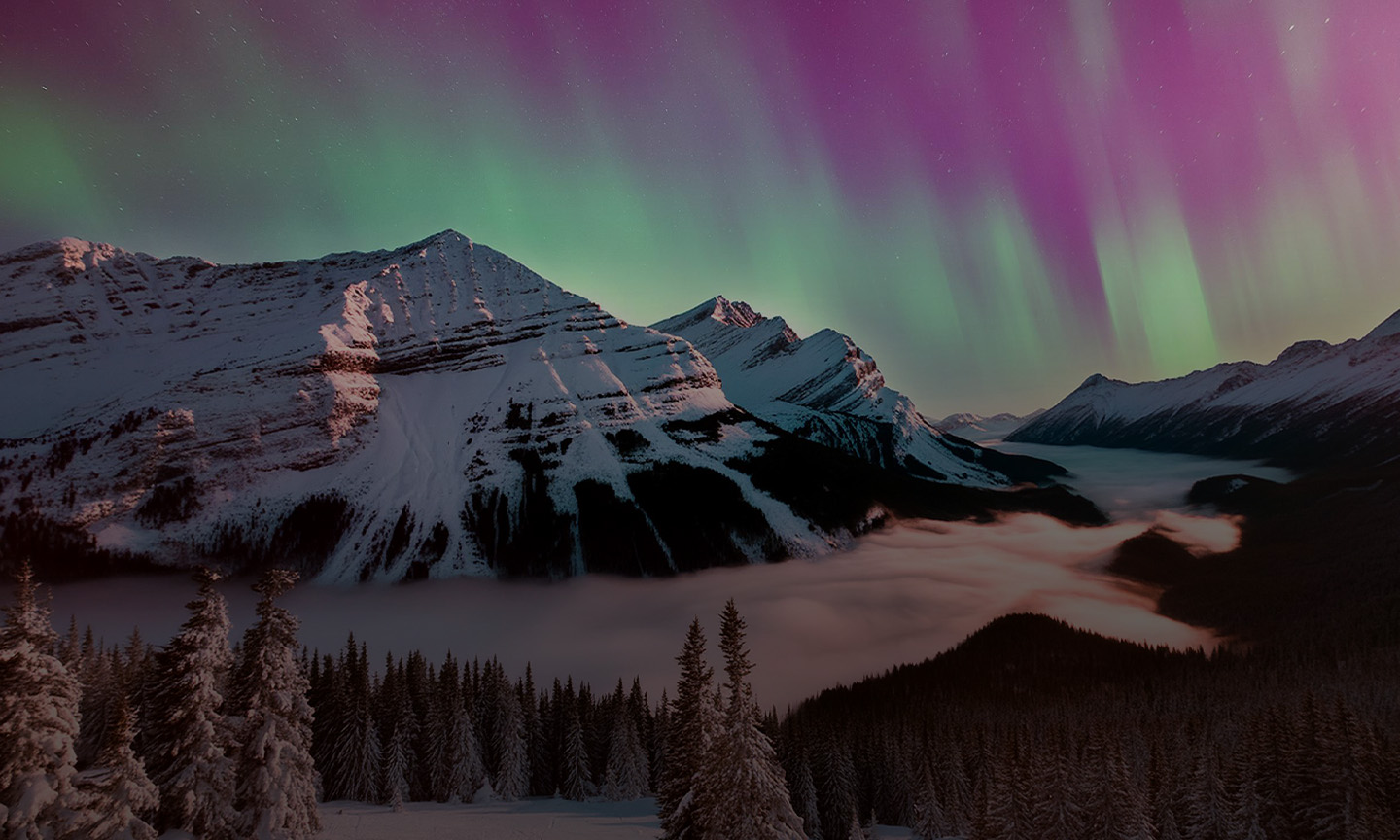 Shaman Spirit - Progressive