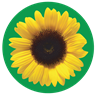 Invisible disabilites sunflower icon