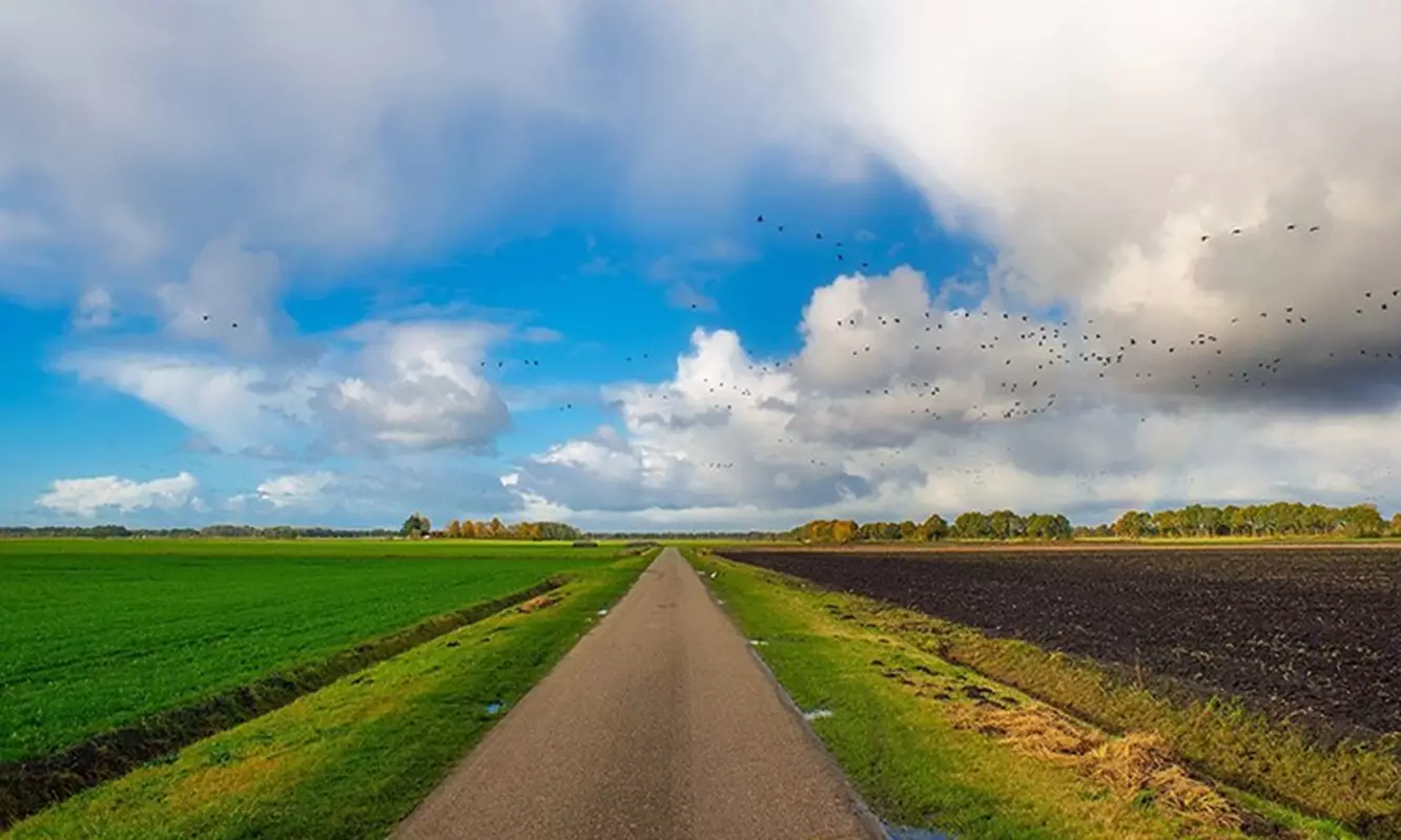 Papieren herprioritering stikstofruimte raakt kant noch wal