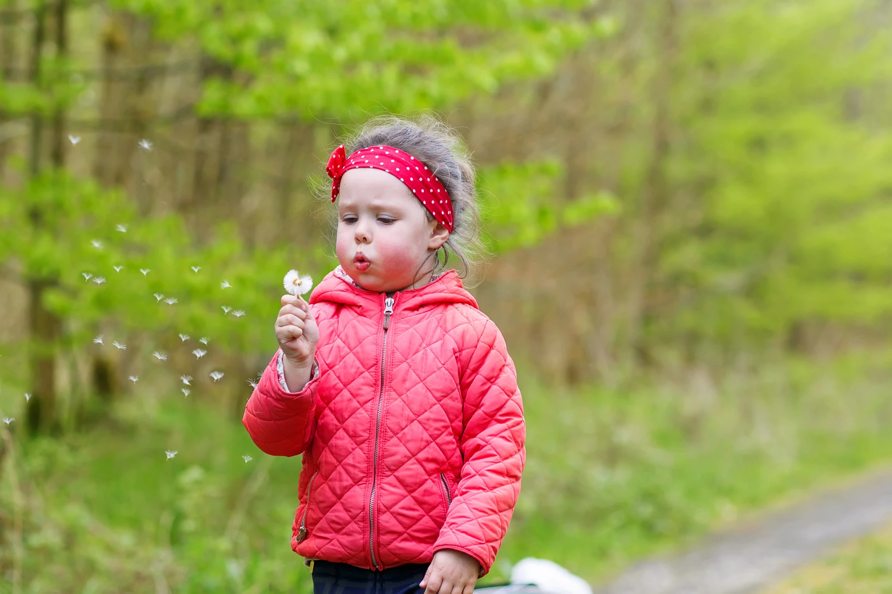 Little Girl with Dandelion