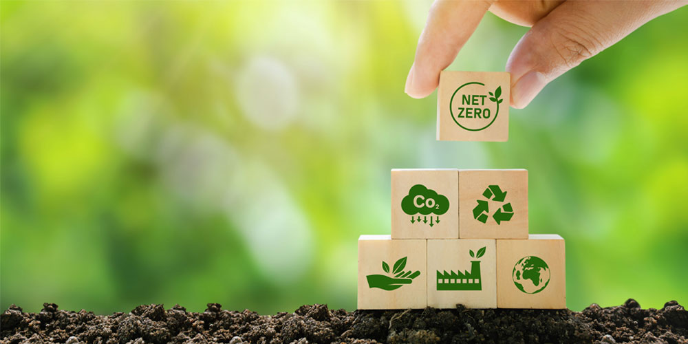 Global Changes Start Local for a Sustainable Future at CCL Design Stuttgart