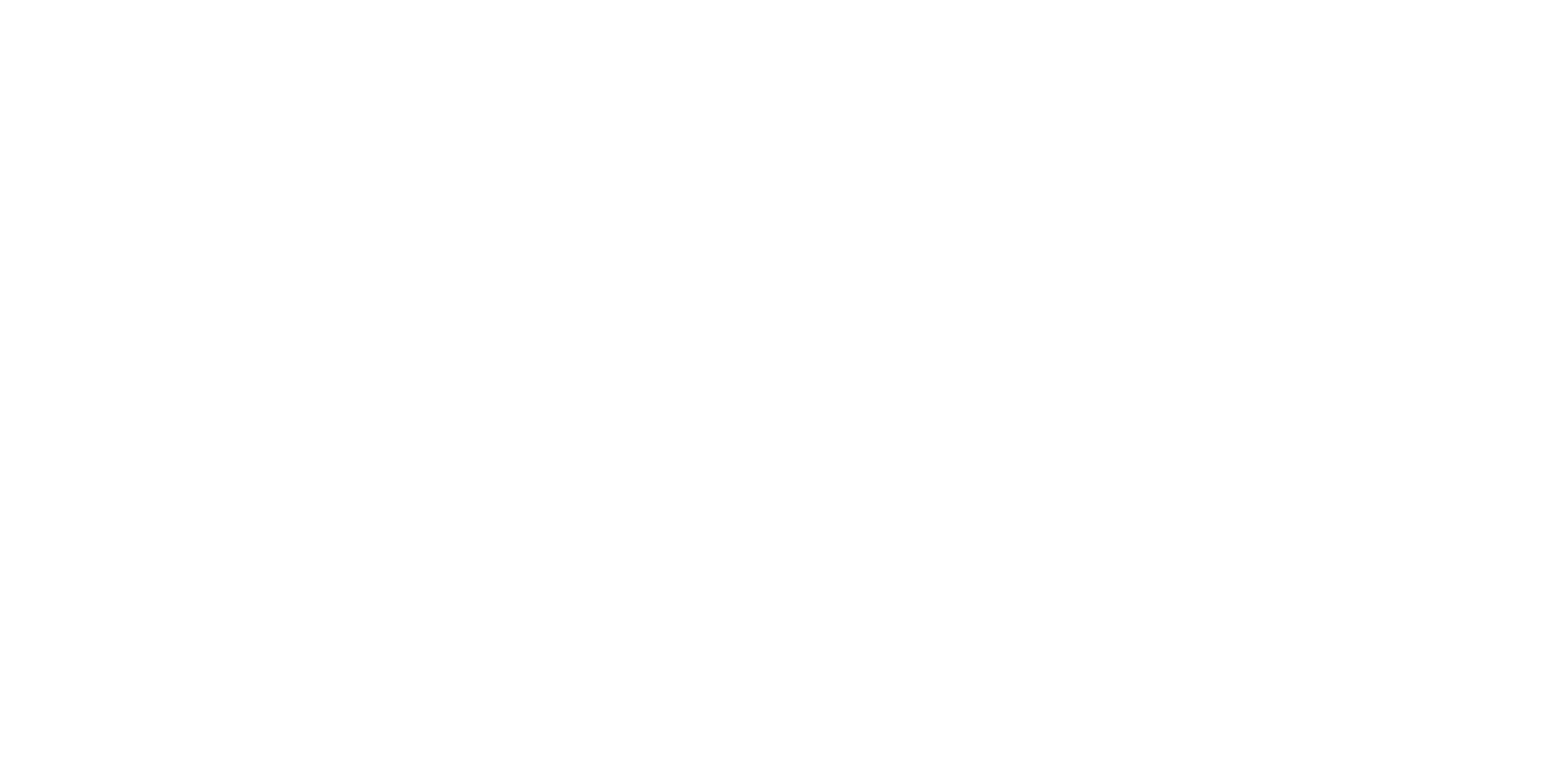 Fernão de Magalhães 127 logo