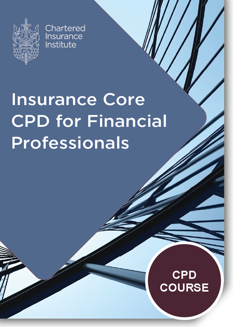 IDD CPD Thumbnail V2