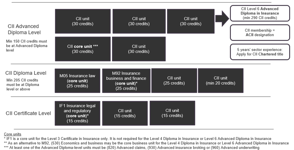 This image illustrates the route to CII qualifications described in the surrounding text.