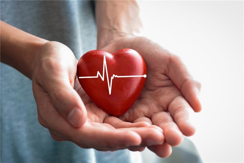 Introduction to Life Insurance