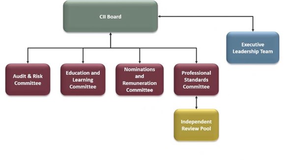 CII Governance structure diagram