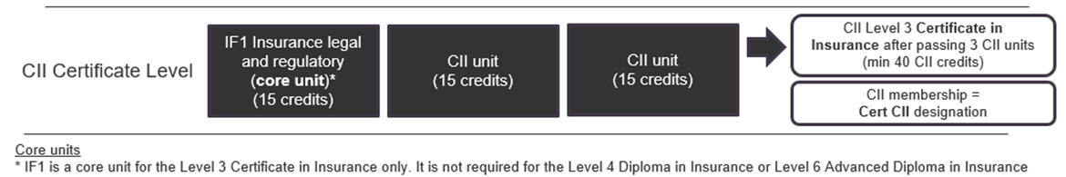 This image illustrates the route to CII qualifications described in the surrounding text.