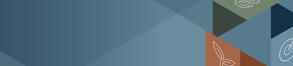Professional Map home page | Chartered Insurance Institute