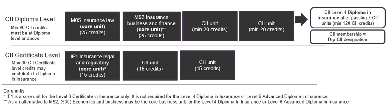 This image illustrates the route to CII qualifications described in the surrounding text.