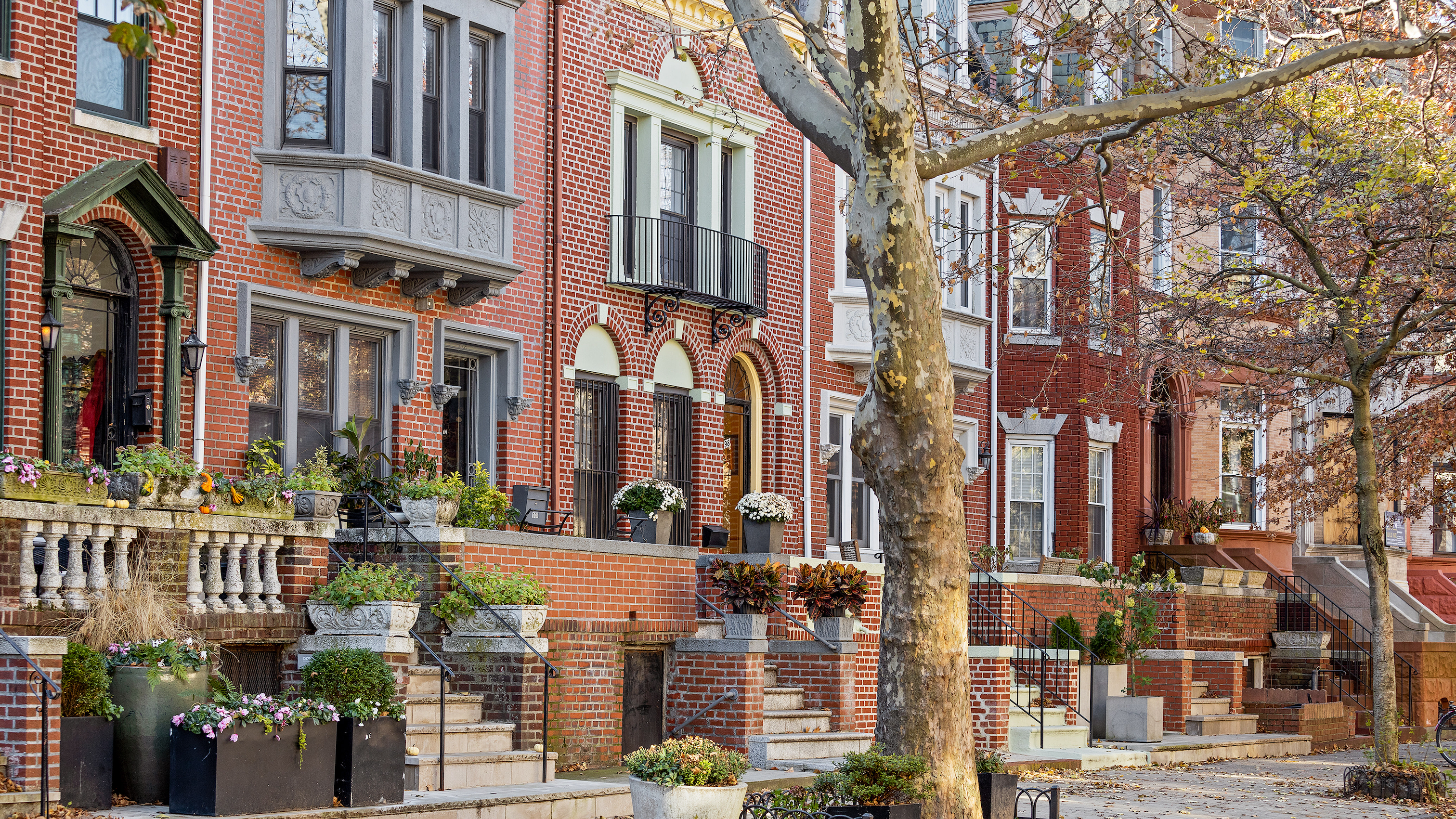 Prospect Lefferts Gardens Brooklyn: Explore Hidden Gems